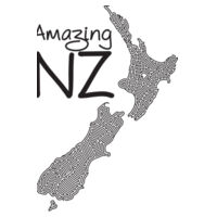 Amazing NZ - Unisex Raglan Tee Design