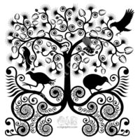 NZ Native Birds - Kids Youth T shirt Design